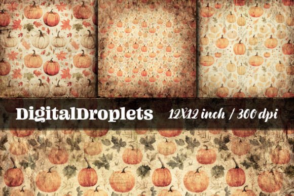 Rustic Pumpkins Vol.1 | Collection: A Designer's Textured Toolkit