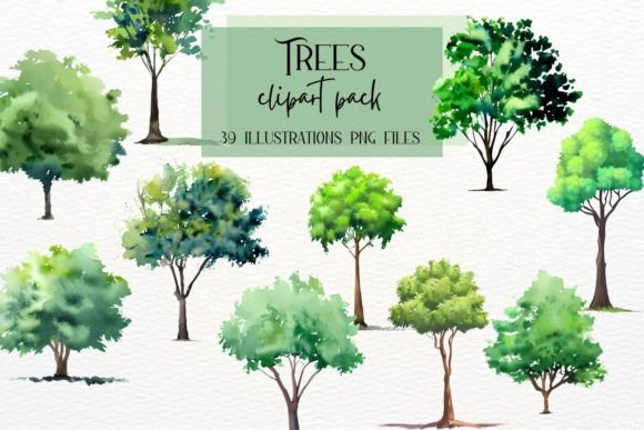 Tree Watercolor Clipart: Elevate Your Forest Trees Designs