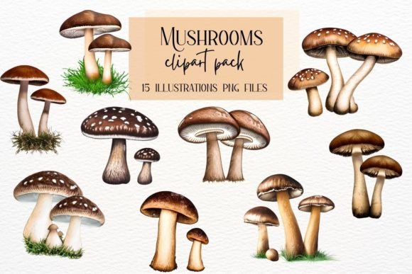 Vintage Watercolor Mushrooms: A Design Asset Guide